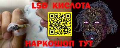 сатива Сланцы