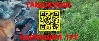 сатива Сланцы