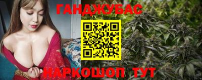 сатива Сланцы